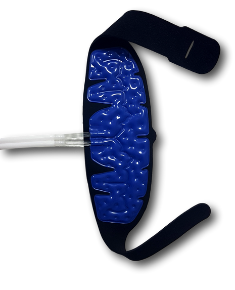 Hydrosense Pelvic Strap