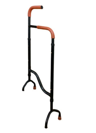 Stair Assist Cane