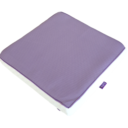 iCare 5cm Seat Cushion